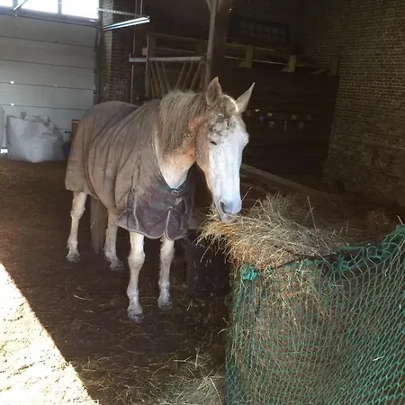 Le Gai Lo Σπίτι διακοπών Villers-Pol