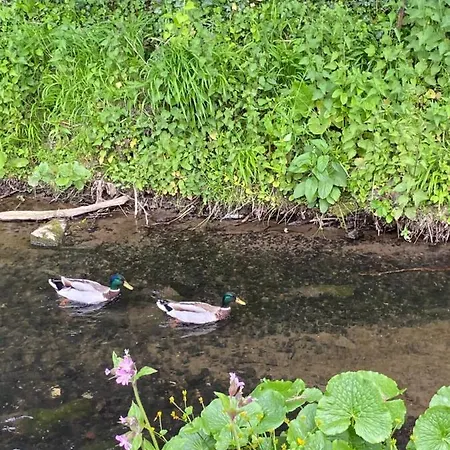 Le Gai Lo Tatil Evi Villers-Pol