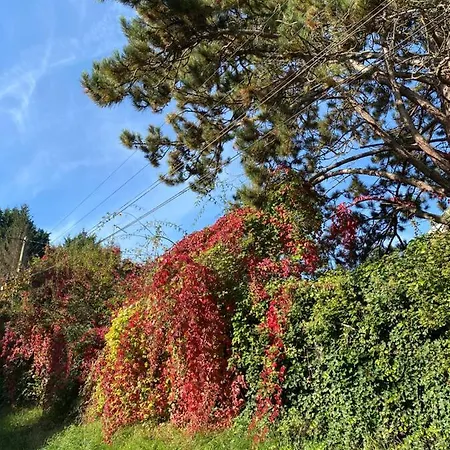 Le Gai Lo Ferienhaus Villers-Pol