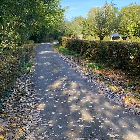 Tatil Evi Le Gai Lo *